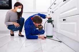 Best Emergency Pest Control  in Mount Morris, IL